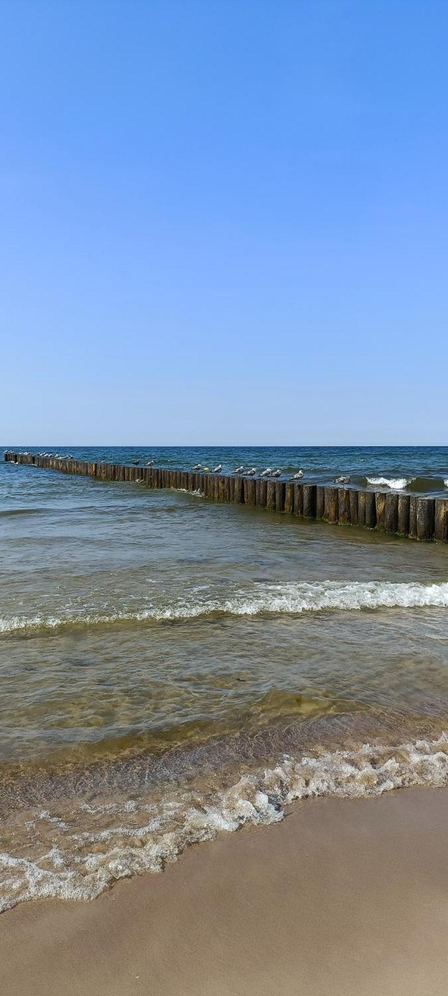 Villa Na Zaciszu Dziwnówek Esterno foto