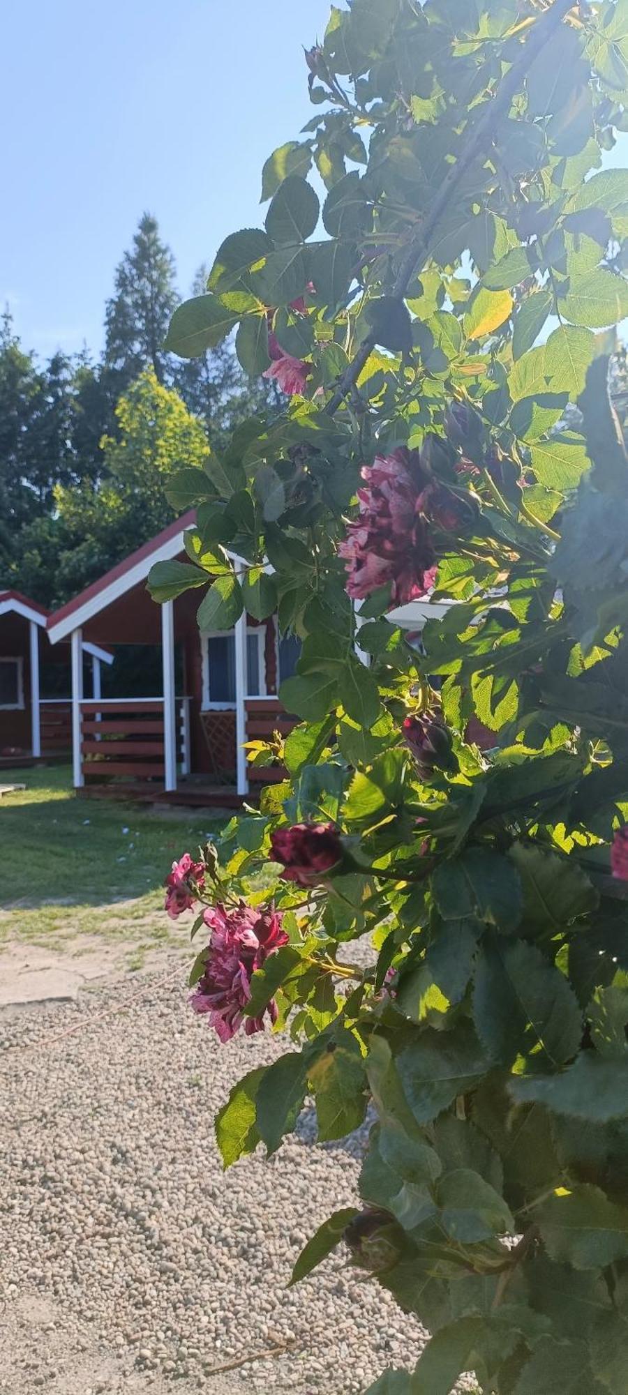 Villa Na Zaciszu Dziwnówek Esterno foto