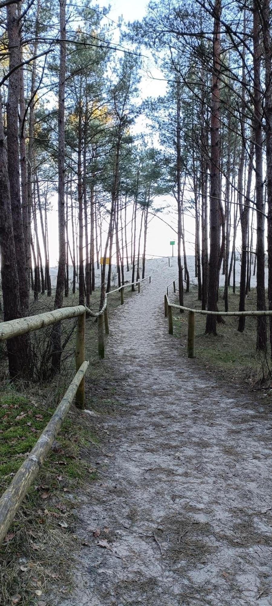 Villa Na Zaciszu Dziwnówek Esterno foto
